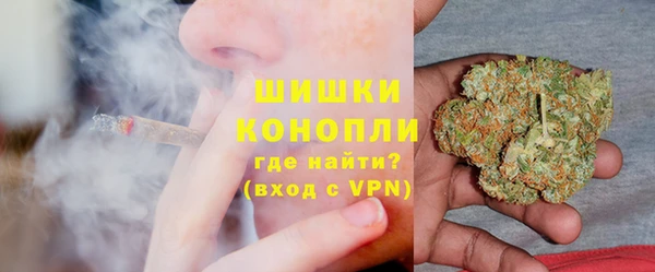 Альфа ПВП Горняк