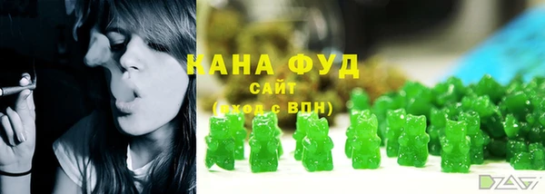 Альфа ПВП Горняк