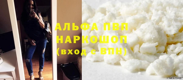 амф Каменногорск