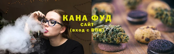 Альфа ПВП Горняк