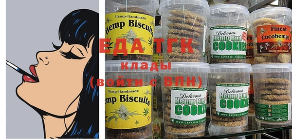 Альфа ПВП Горняк