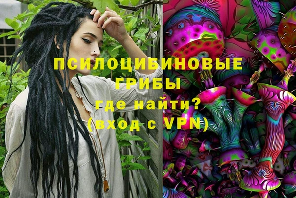 Альфа ПВП Горняк
