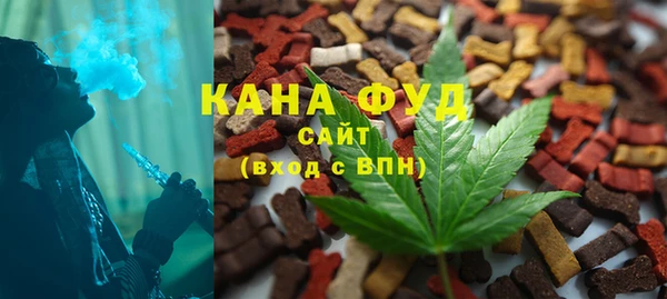 Альфа ПВП Горняк