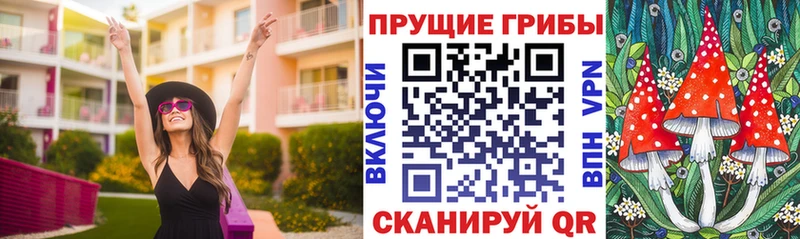 гидра как войти  где купить наркоту  Кемь  Псилоцибиновые грибы Magic Shrooms 